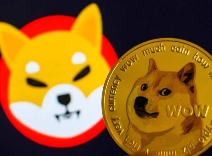 što je shiba inu token