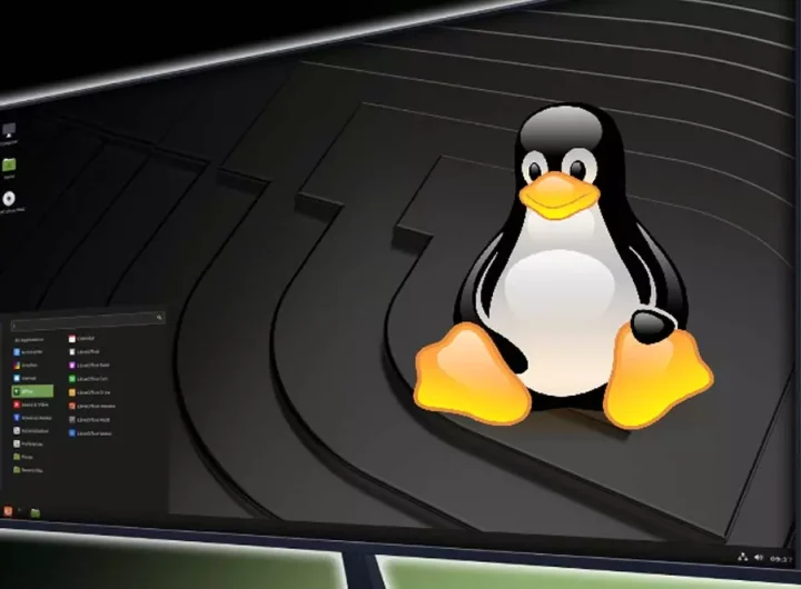 linux kao windows alternativa, 11 distribucija za razmatranje