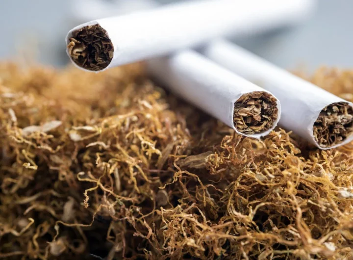 sve o duhanu i uzgoj duhana