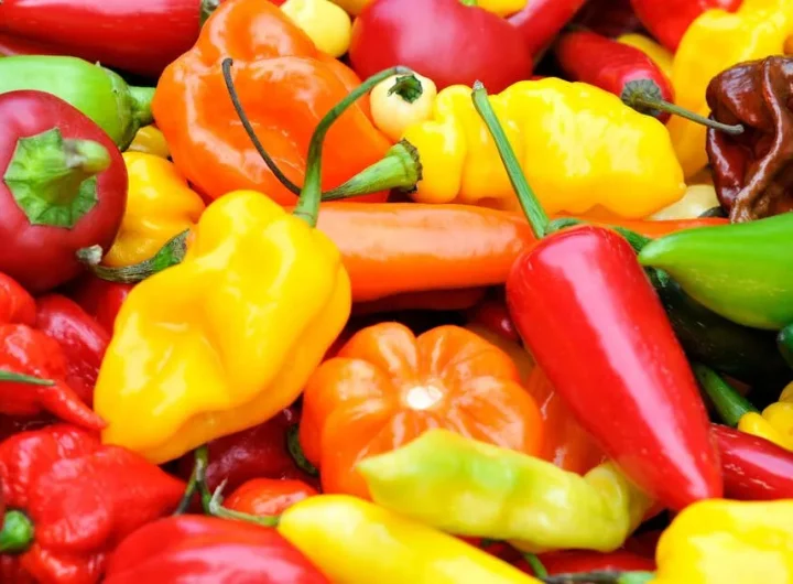 sve o ljutim papričicama