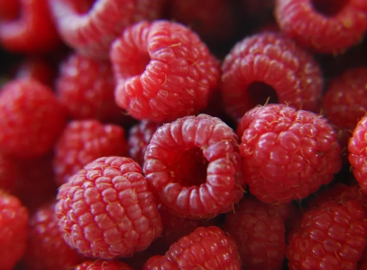 Vodič za Uzgoj Malina: Sve o Malinama