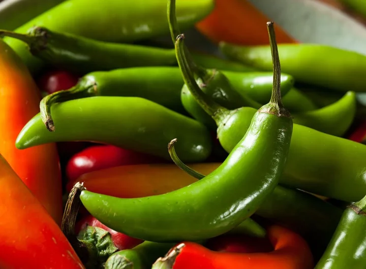 Serrano Ljute Papričice