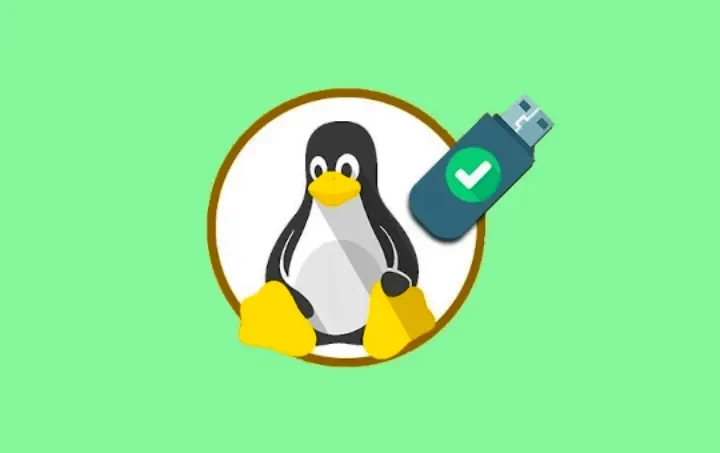 Zašto i Kako se USB Stick Particija Ošteti, te Kako je Popraviti