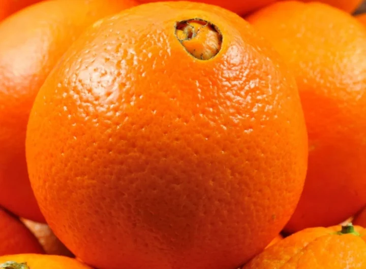 Sve Što Trebate Znati o Narančama