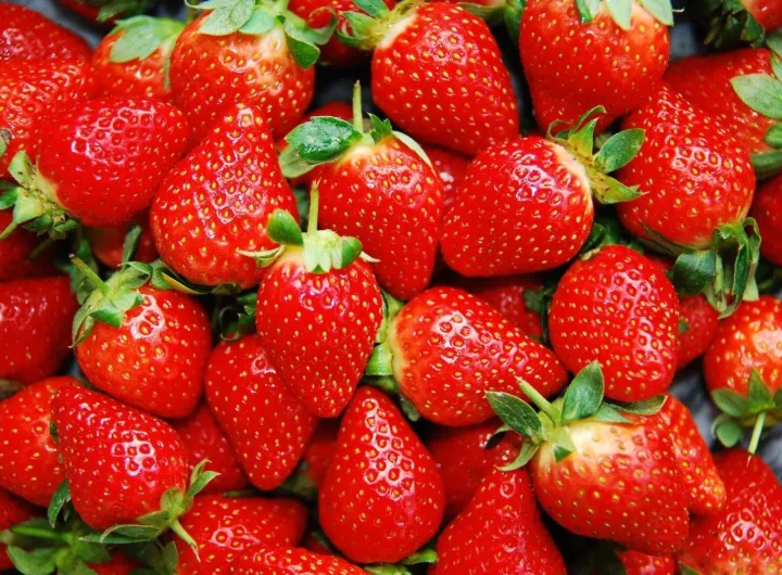 Jagode: Sve Što Trebate Znati