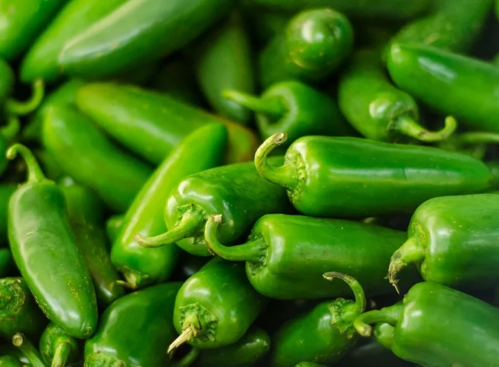 Jalapeño ljute papričice