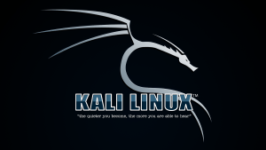 Linux Kali – Pentesting i Sigurnosne Provjere