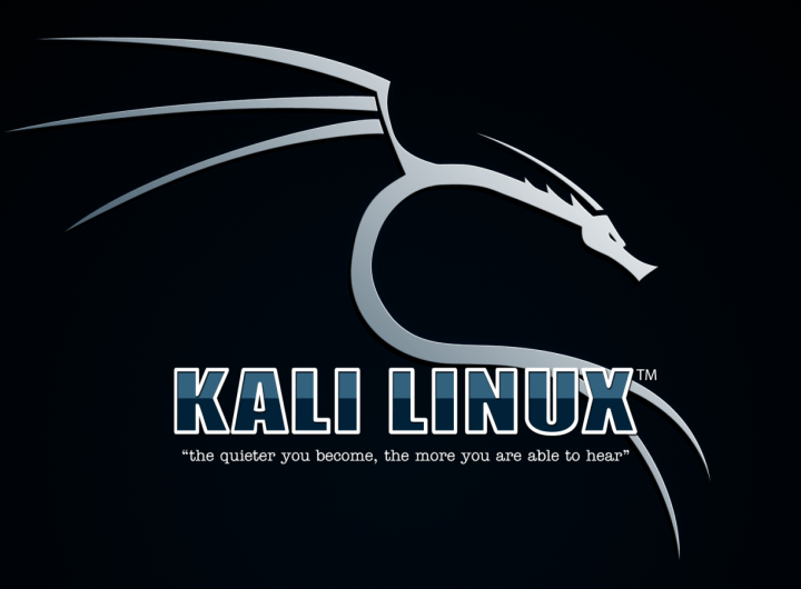 Linux Kali – Pentesting i Sigurnosne Provjere