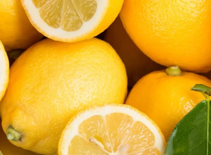 Organski Limuni vs. Konvencionalni: Razlike i Prednosti