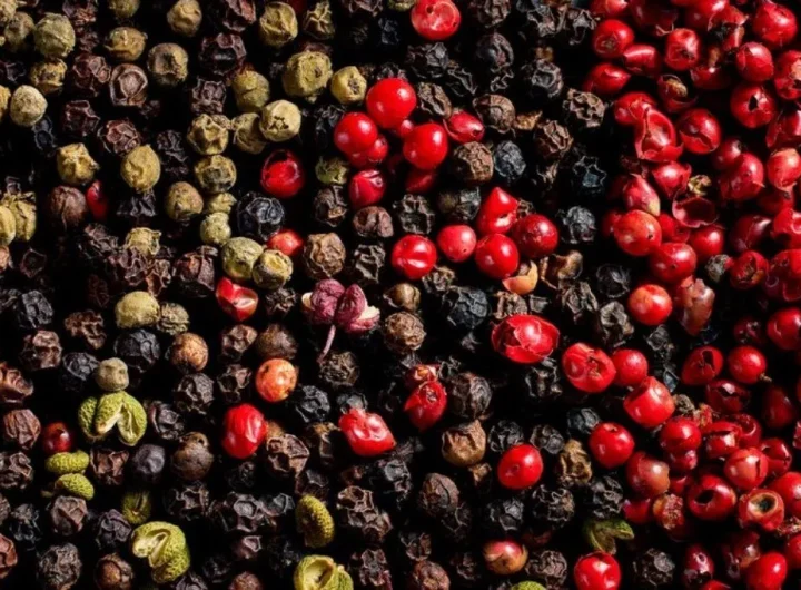 Različite Vrste Papra: Pregled Njihovih Karakteristika i Kulinarske Primjene