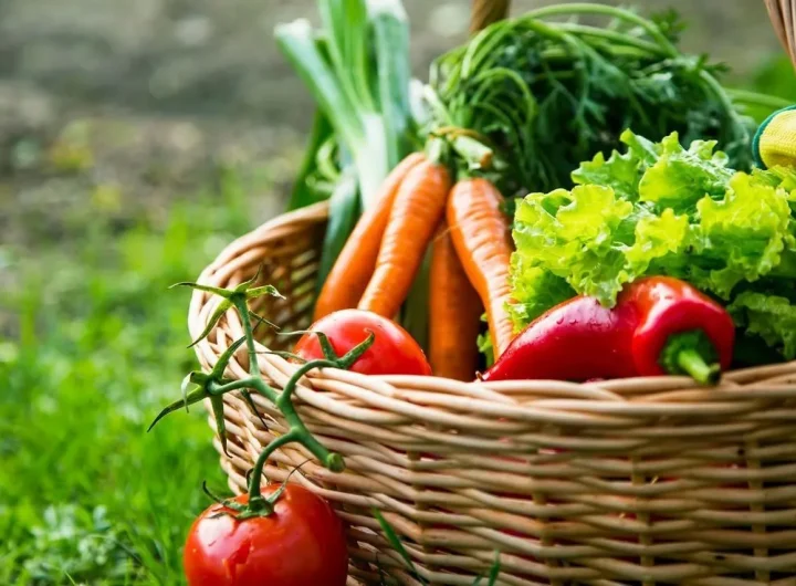 Kako Uzgoj Vlastitog Povrća i Voća Utječe na Zdravlje