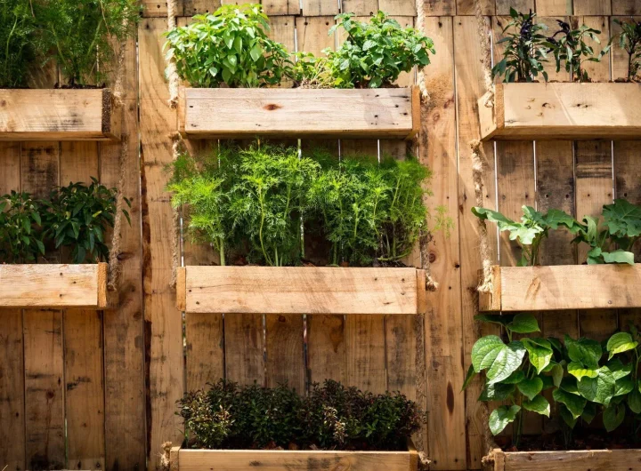 Ideje za Vertikalne Vrtove