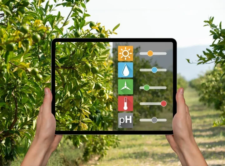 Pametni Vrtovi i Uzgoj Biljaka