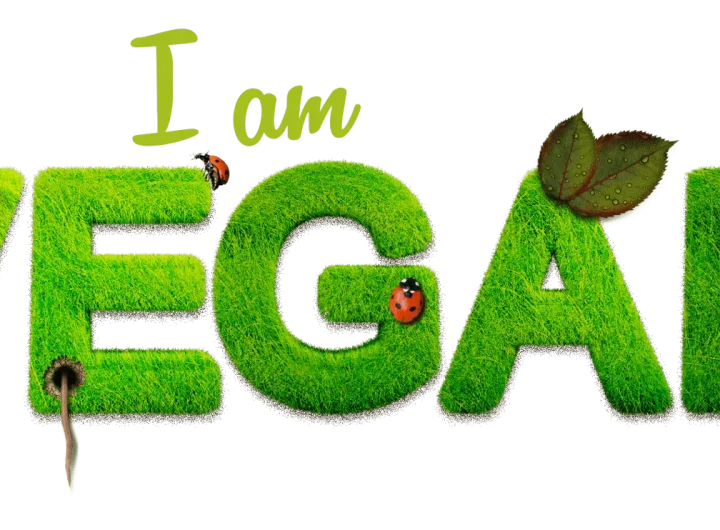 Koraci za Prelazak na Vegetarijanski ili Veganski Način Života