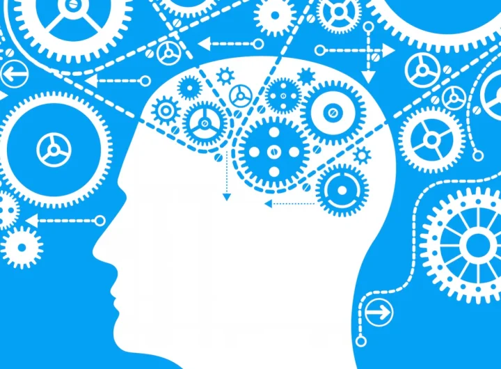 Što Znači Pojam Kognitivne Funkcije?