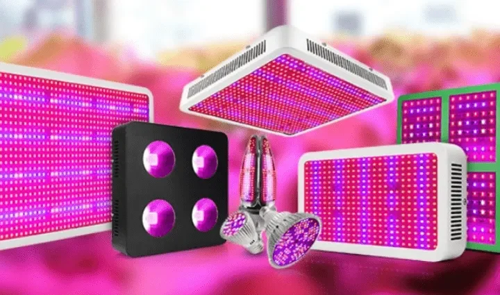 LED Fitolampe za Uzgoj Povrća i Ljekovitog Bilja