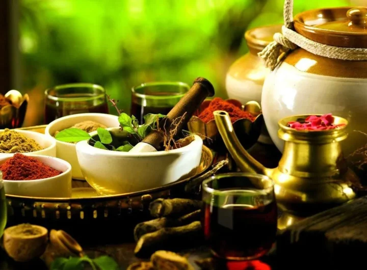 Tradicionalni i Moderni Biljni Lijekovi