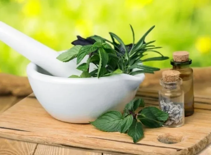 Upotreba Začinskog Bilja u Tradicionalnoj Medicini