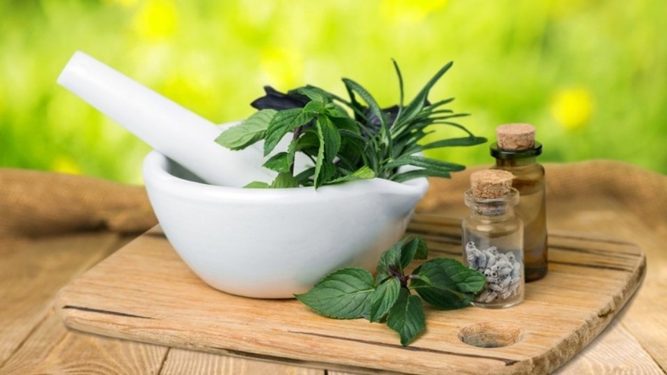 Upotreba Začinskog Bilja u Tradicionalnoj Medicini