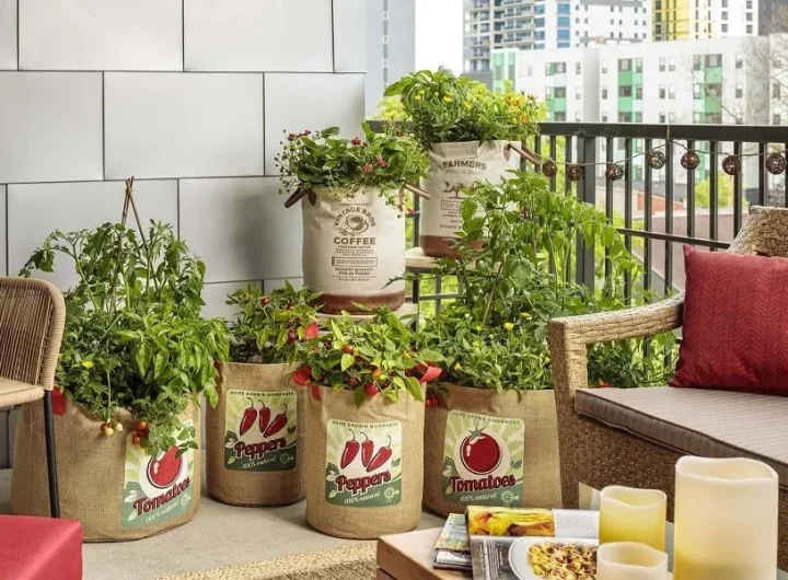 Uzgoj Biljaka Na Balkonu