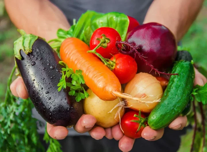 Kalendar Sadnje Povrća u Kontinentalnoj Klimi