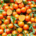 Uzgoj i Karakteristike Mandarina: Sve Što Trebate Znati
