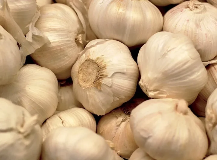 Češnjak: Zdravstvene Prednosti, Kulinarske Tajne i Kako ga Uzgajati