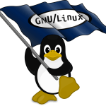 Linux Sustav u Razvoju Digitalne Demokracije