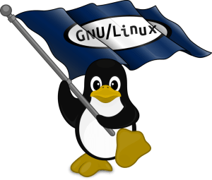 Linux Sustav u Razvoju Digitalne Demokracije