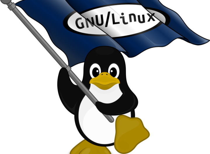 Linux Sustav u Razvoju Digitalne Demokracije