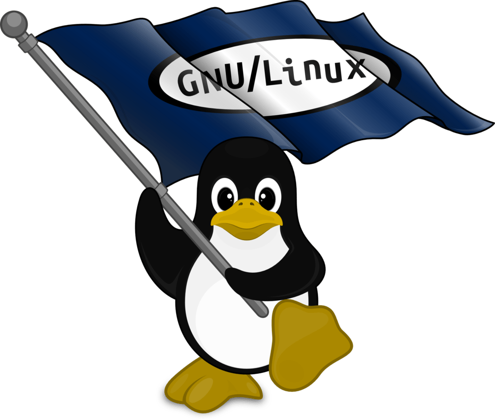 Linux Sustav u Razvoju Digitalne Demokracije