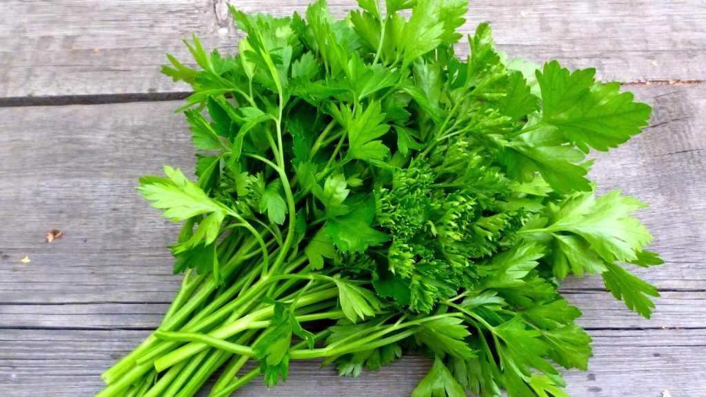 Nutritivne Vrijednosti Celera i Peršina