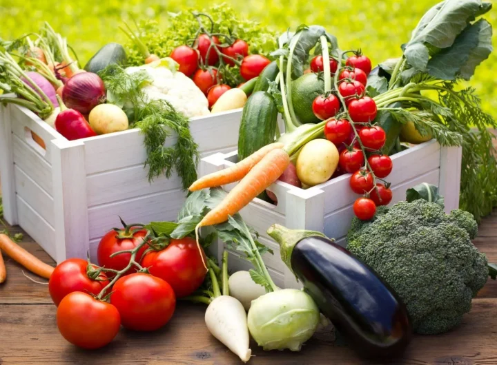 Kalendar Sadnje Povrća u Mediteranskoj Klimi