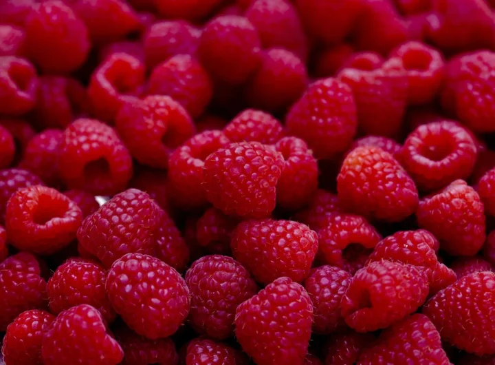 Maline – Najbolje Sorte i Uzgoj u Hrvatskoj