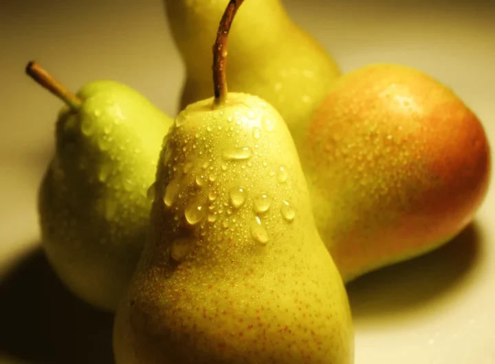 Kruške – Sorte i Uzgoj u Hrvatskoj