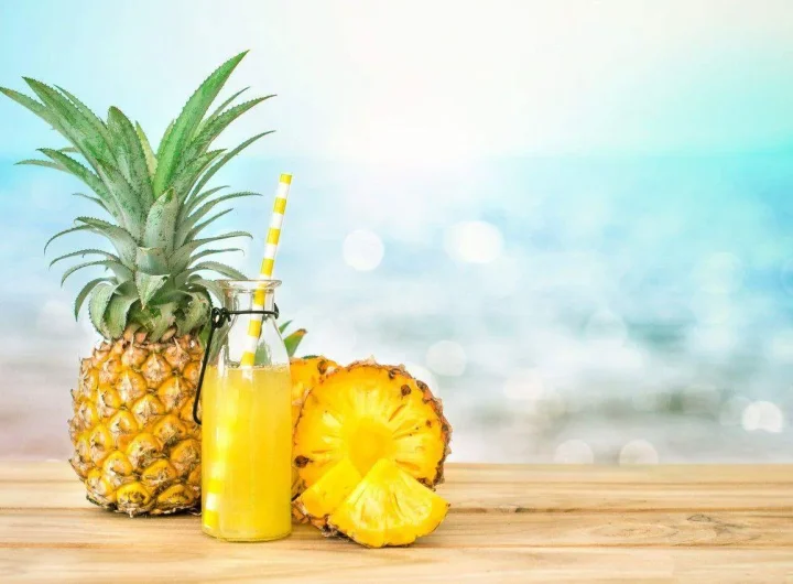 Sorte, Uzgoj i Zdravstvene Prednosti Ananasa