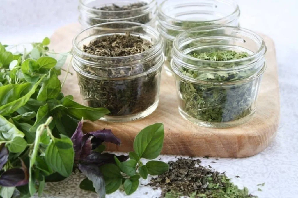 Svježe i Sušeno Začinsko Bilje u Kuhanju