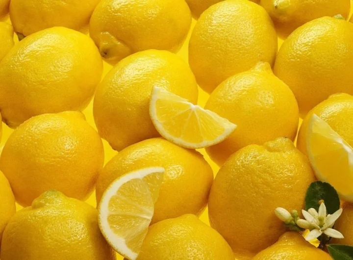 Limun, Najpoznatije Vrste i Uzgoj