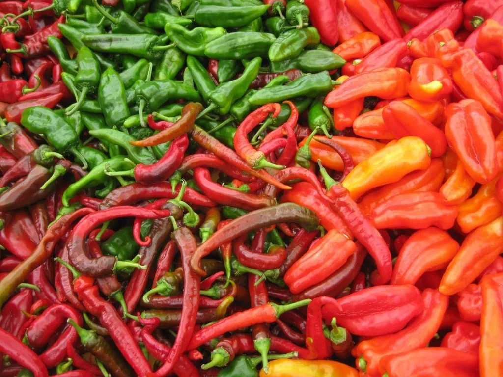 Feferoni: Uzgoj i Sorte