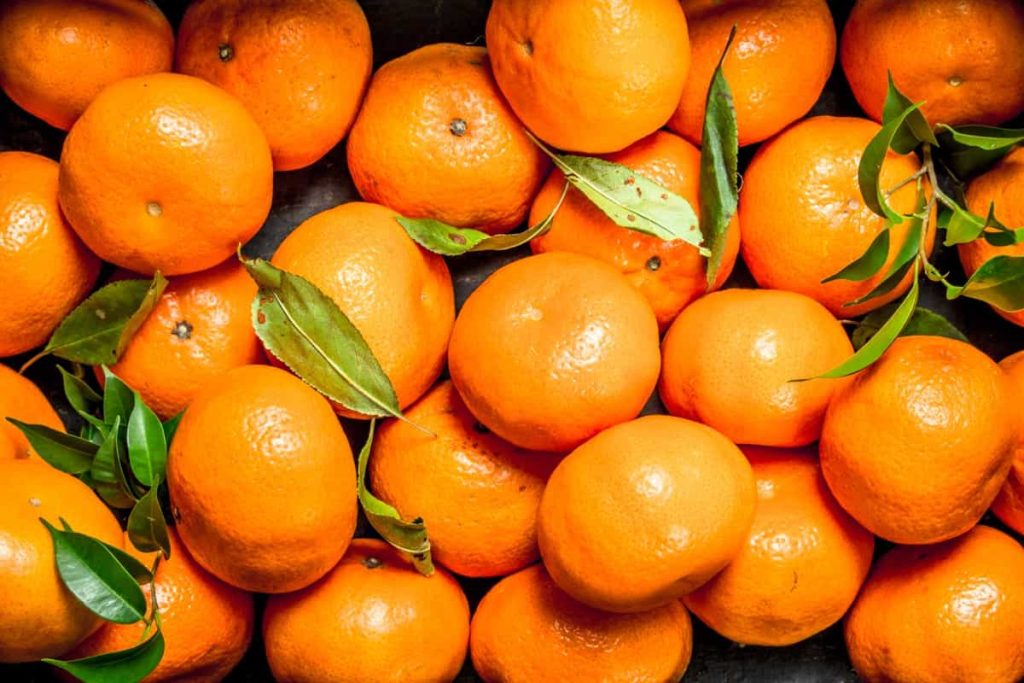 Mandarine: Sve Što Trebate Znati