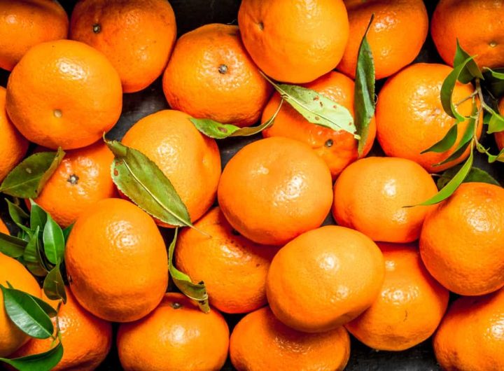 Mandarine: Sve Što Trebate Znati