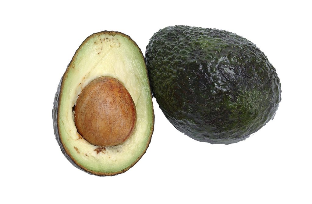 Avokado, Sorte i Uzgoj