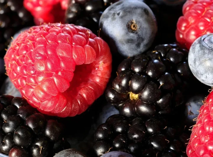 Bobičasto Voće, Vrste i Uzgoj