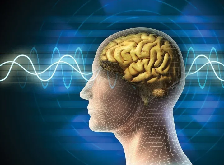 Kognitivne Funkcije, Temelj Ljudskog Razmišljanja