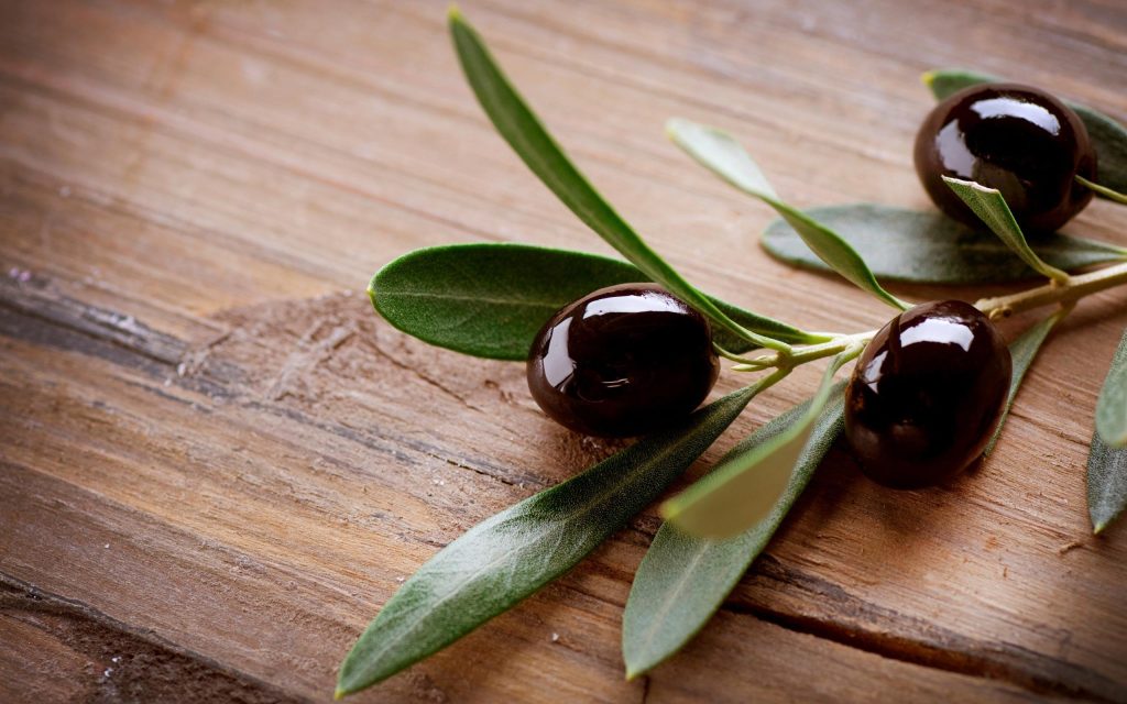 Maslina kao Voće: Botanička Istina, Nutritivna Moć i Važnost za Mediteran