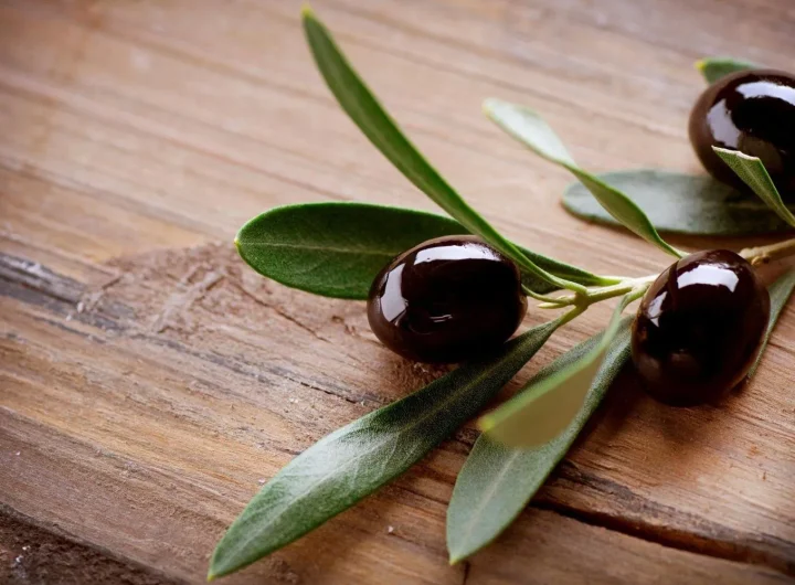 Maslina kao Voće: Botanička Istina, Nutritivna Moć i Važnost za Mediteran