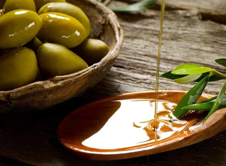 Najbolje Sorte Maslina za Dalmaciju: Vodič za Uspješan Uzgoj i Vrhunsko Maslinovo Ulje