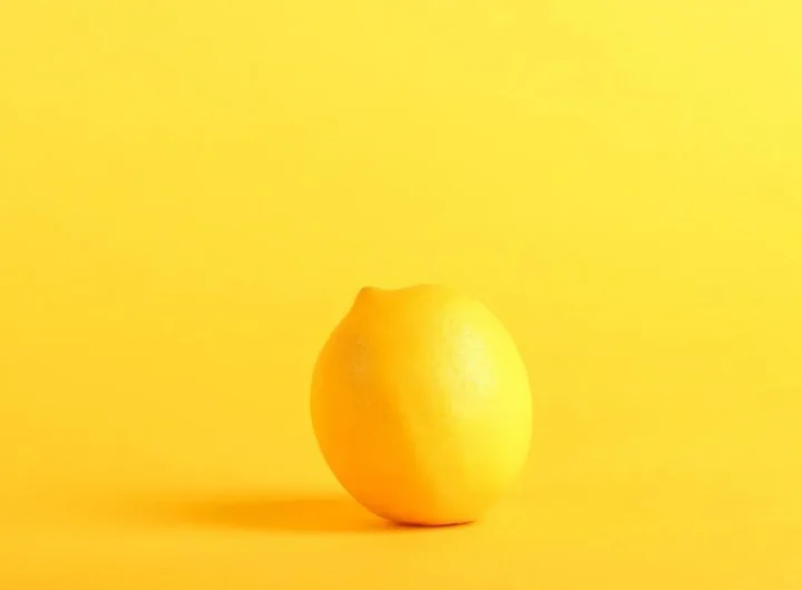 Uzgoj Limuna u Stanu – Njega i Savjeti za Zdravu i Plodnu Biljku