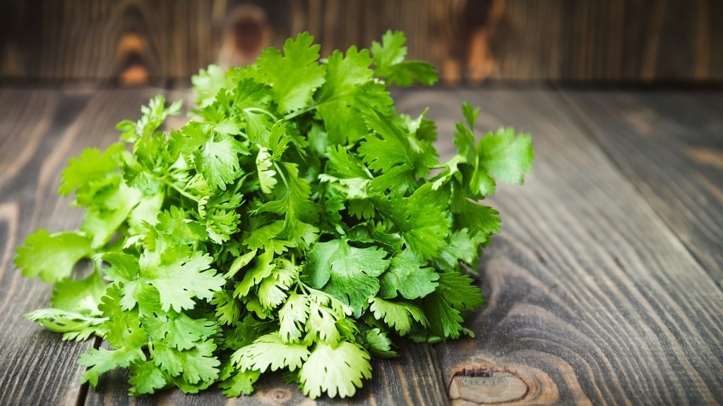 Cilantro, Peršin, Celer i Selen – u Čemu je Razlika? Edukativni Vodič za Prepoznavanje, Upotrebu i Kulinarske Trikove