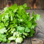 Cilantro, Peršin, Celer i Selen – u Čemu je Razlika? Edukativni Vodič za Prepoznavanje, Upotrebu i Kulinarske Trikove